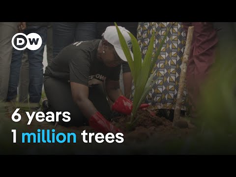Sierra Leone: How Freetown’s mayor has transformed her city | DW News