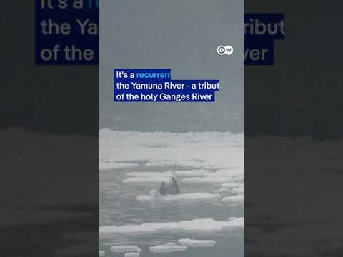 White toxic foam covers India’s Yamuna River | DW News