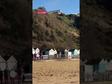 Dog walker runs from collapsing cliff