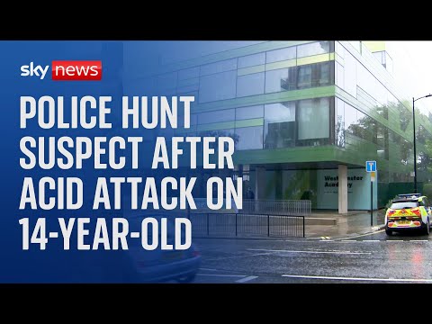 ‘Acid attack’ at west London school leaves 14-year-old girl with potentially life-changing injuries