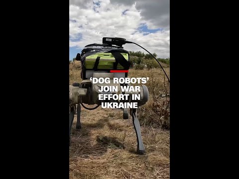 ‘Dog robots’ help Ukrainian troops deliver weapons and first aid