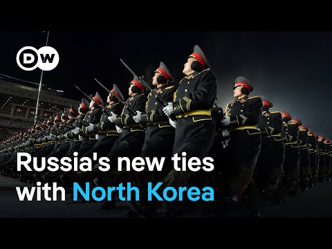 How will NATO respond to Russia’s use of North Korean troops? | DW News