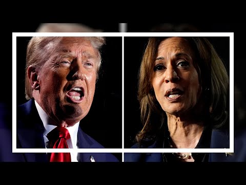 US election countdown continues – here’s what you need to know with seven days to go | ITV News