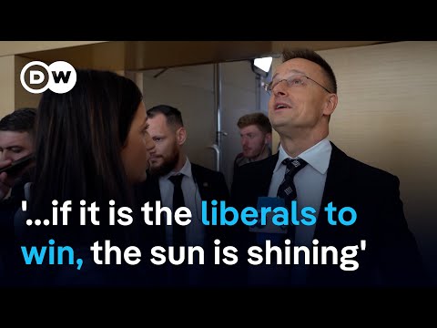 Hungary’s foreign minister rejects allegations of electoral fraud in Georgia | DW News