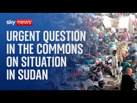 House of Commons live: Urgent Question on the situation in Sudan