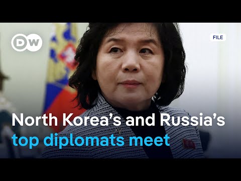 North Korea’s foreign minister visits Moscow | DW News