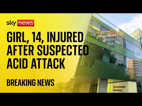 Suspected acid attack at west London school leaves girl, 14, among three injured