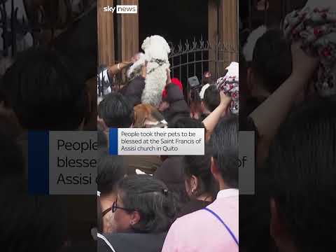 Pets receive Catholic blessing in Ecuador