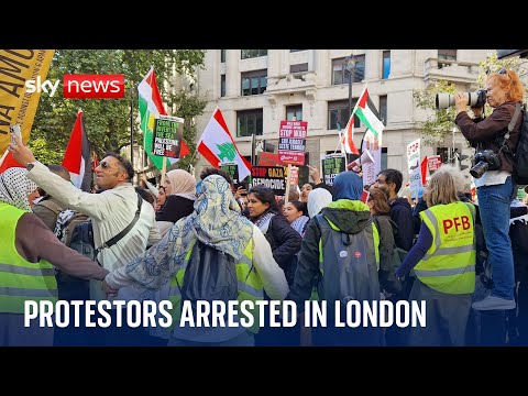 Police arrest 15 protesters during London demonstrations over Middle East conflict