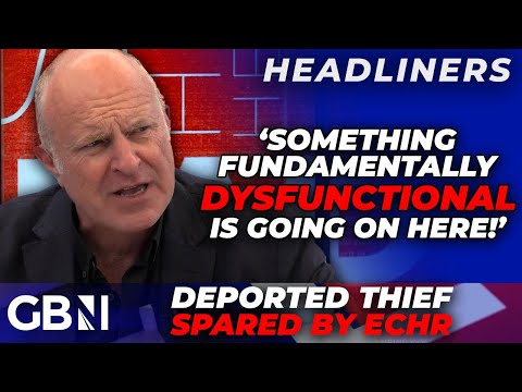 ‘Extraordinary abuse’ of ECHR intentions sees DEPORTED thief use convention to REMAIN in Britain