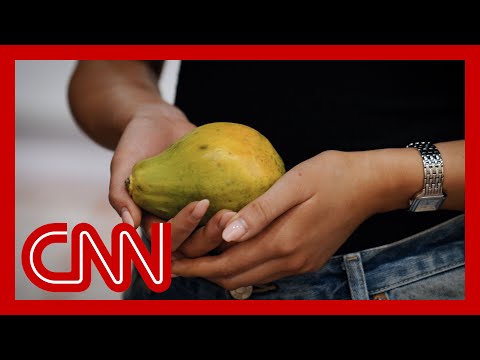 Medical students from abortion ban states turn to papayas to practice lifesaving procedures