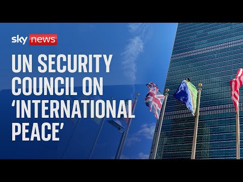 Watch live:  UN Security Council convenes for a briefing on ‘international peace’