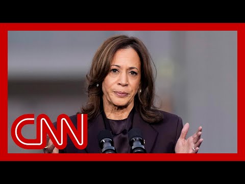 Democrats finger-pointing as they assess what led to decisive GOP wins in 2024 election