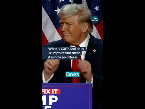 COP29: Does Trump’s return make climate change summit pointless?