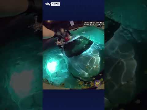 Man rescued from submerged car