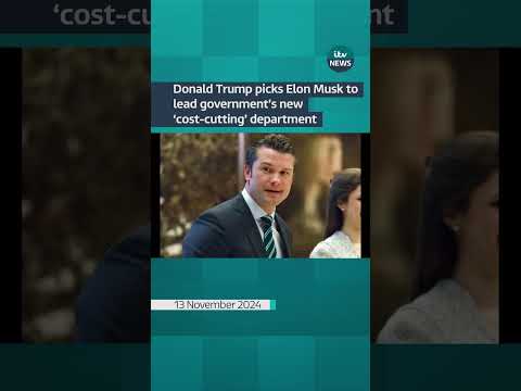 Donald Trump picks Elon Musk to lead government’s new ‘cost-cutting’ department