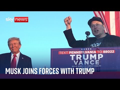 Elon Musk picked to head up Trump’s new efficiency department