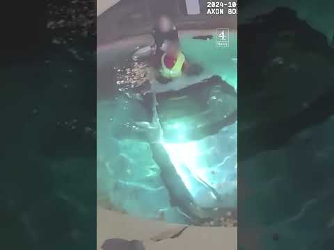 Man rescued as car plunges into pool