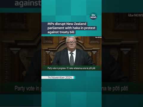 MPs disrupt New Zealand parliament with haka in protest against treaty bill