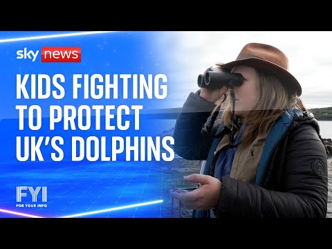FYI: Kids fighting to protect UK’s dolphins