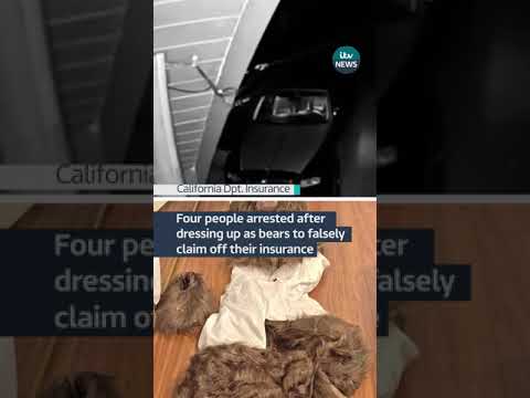 Four people arrested after dressing up as bears to falsely claim off their insurance | ITV News