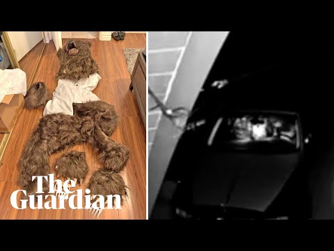 Four people charged in ‘bear attack’ on Rolls-Royce insurance scam in California