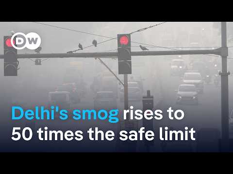 Why Delhi can’t get its toxic smog under control | DW News