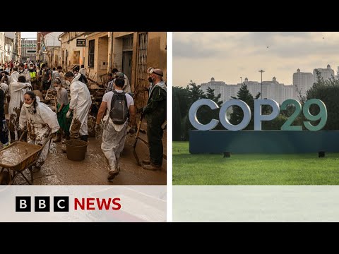 UN climate talks ‘no longer fit for purpose’ say key experts | BBC News