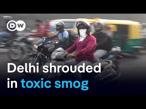 Why is this a recurring problem and why isn’t it fixed? | DW News