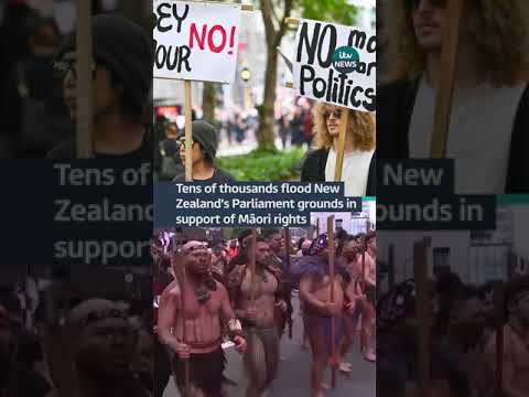 Tens of thousands flood New Zealand’s Parliament grounds in support of Māori rights | ITV News