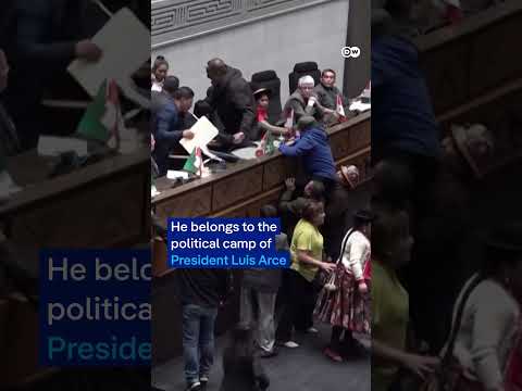 Scuffles break out between lawmakers in parliament | DW News