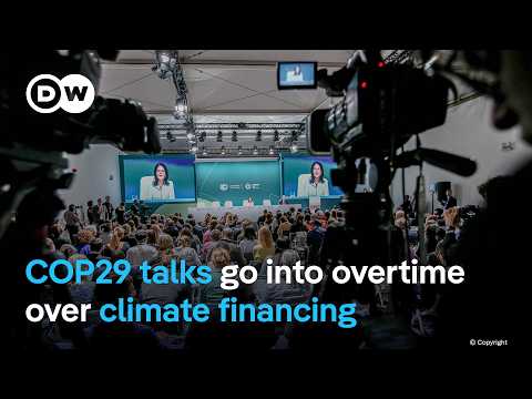 How is the price of dealing with global warming? | DW News