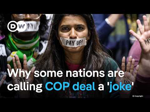 Will latest climate deal empower poorer countries suffering from dangerous diseases? | DW News