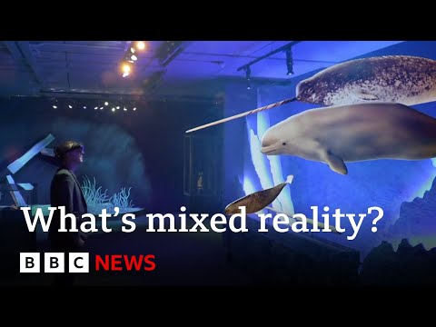 What a ‘mixed reality’ experience tells us about the future of the natural world | BBC News