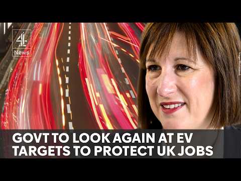 Electric car crisis: Government to review rules after backlash