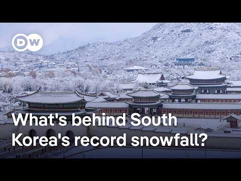 South Korea: At least 4 dead in heaviest snowfall on record | DW News
