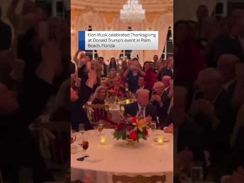 Musk and Trump dance to YMCA