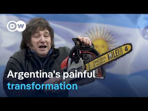 Did Milei follow through on his radical economic plans? | DW News