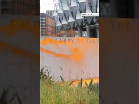 Activists vandalise US embassy to protest Trump win
