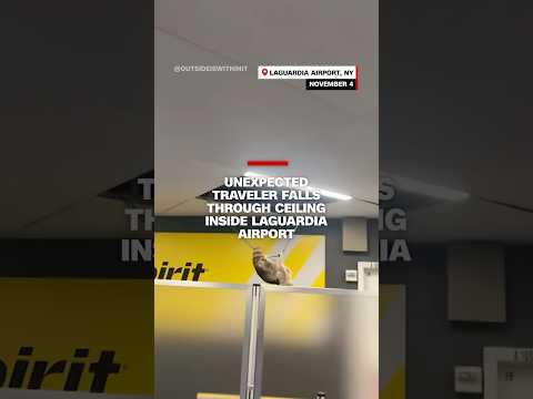 Unexpected traveler falls through ceiling inside LaGuardia airport
