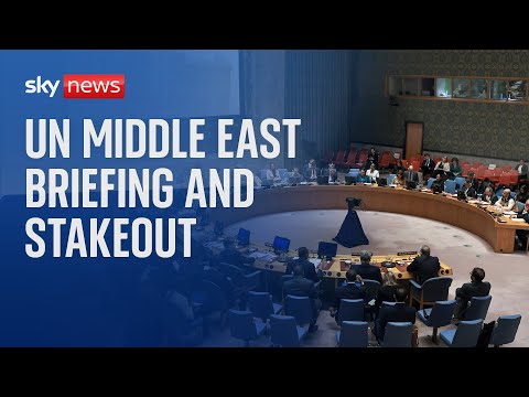 Watch Live: UN Security Council Middle East briefing