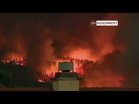 Inside Portugal’s groundbreaking wildfire prevention strategy – On Assignment | ITV News