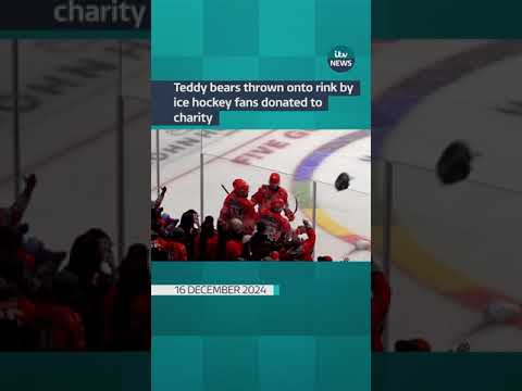 Teddy bears thrown into rink by ice hockey fans donated to charity #itvnews #shorts