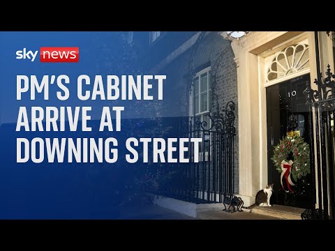 Prime Minister’s cabinet arrive at Downing Street for meeting