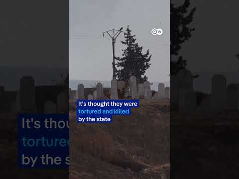 Mass graves uncovered in Syria | DW News