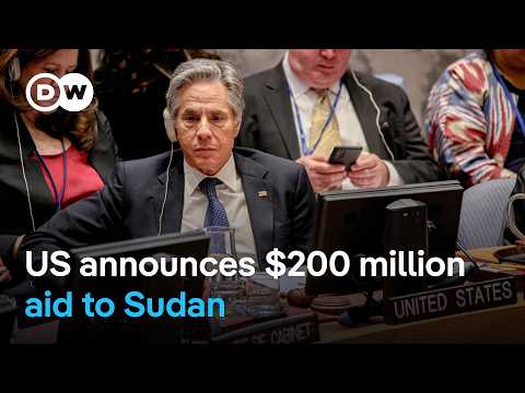 Blinken urges UN Security Council to act on Sudan | DW News