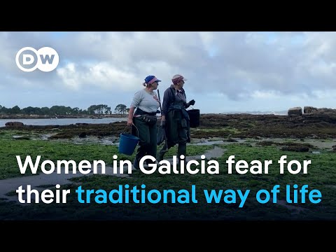 Protests mount over massive fiber mill in Spain’s Galicia | DW News
