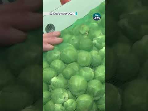Some traditional Christmas veg are up to 25% bigger this year, but why?  #shorts #christmas #food