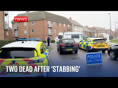 Two women and dog killed after Christmas Day ‘stabbing’ at flat in Milton Keynes