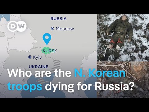 North Korean forces suffering ‘mass casualties’ on Russian frontlines with Ukraine | DW News